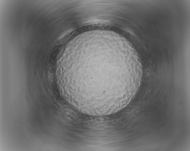 X0000059220869200511111519