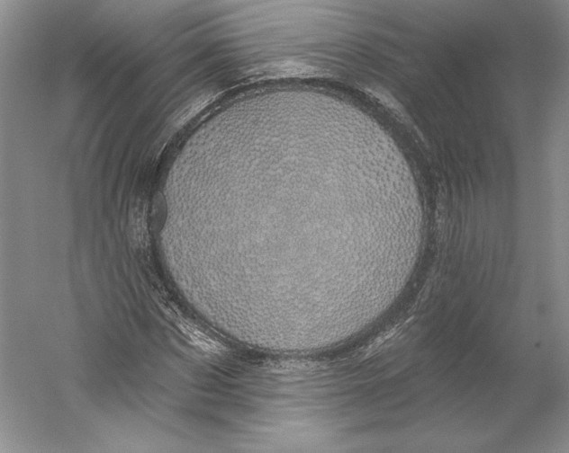 X0000059220873200511111519