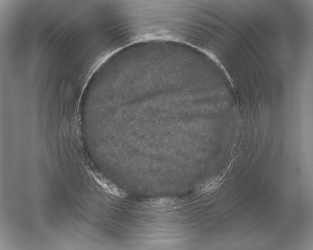 X0000059220879200511111519