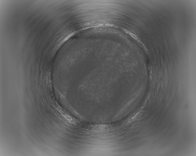 X0000059220881200511111519