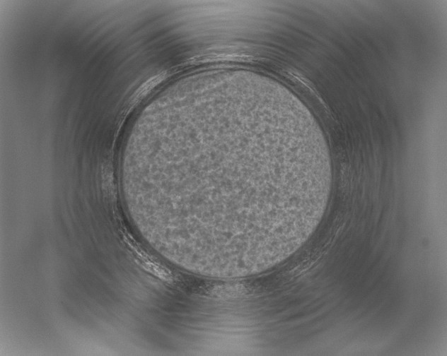 X0000059220882200511111519