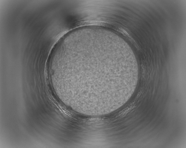 X0000059220883200511111519