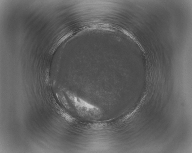 X0000059220889200511111519