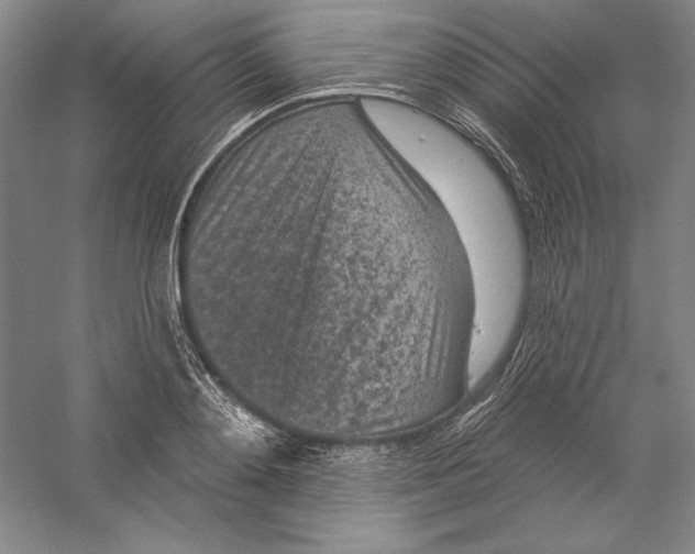 X0000059220892200511111519