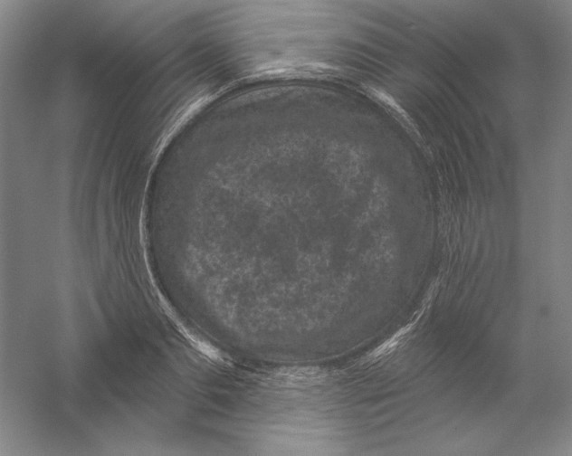 X0000059220893200511111519