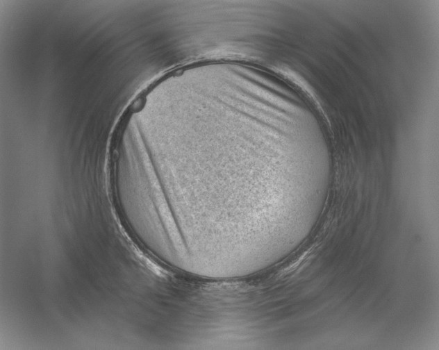 X0000059220902200511111518
