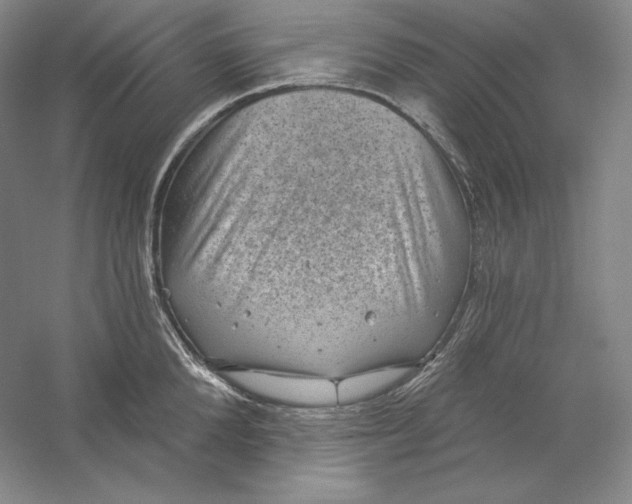 X0000059220904200511111518