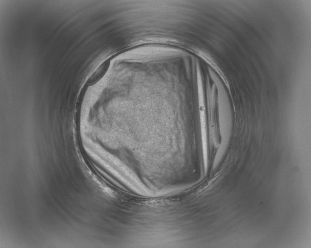 X0000059220906200511111518