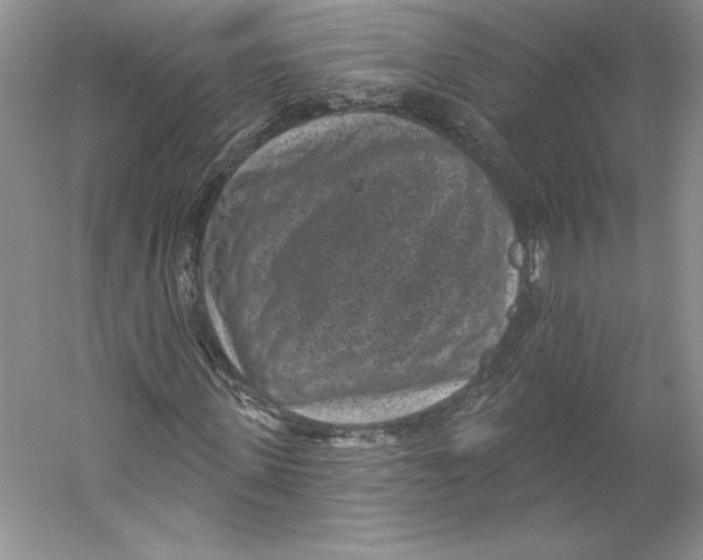 X0000059220915200511111517
