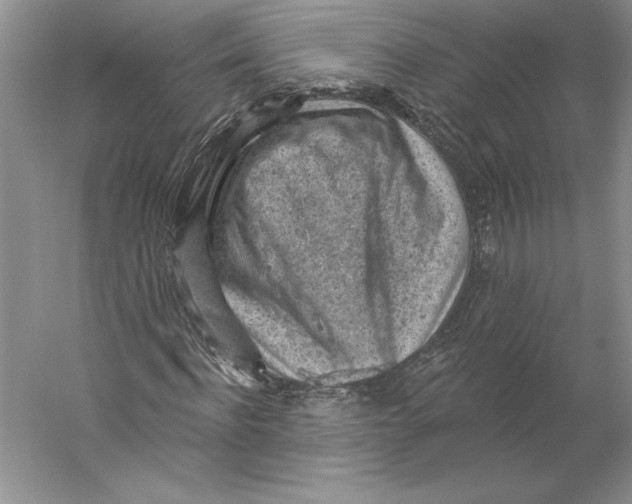 X0000059220916200511111517