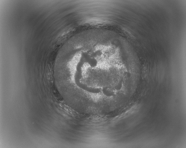 X0000059220917200511111517