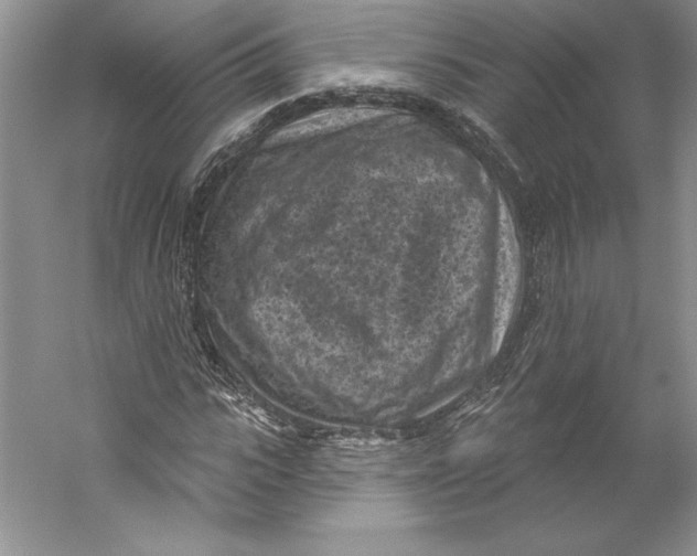 X0000059220919200511111518