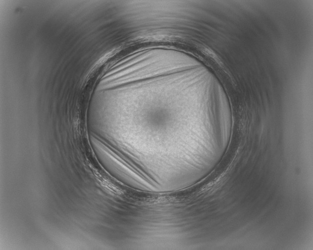 X0000059220922200511111518