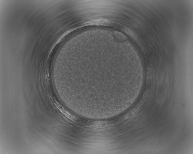 X0000059220923200511111518