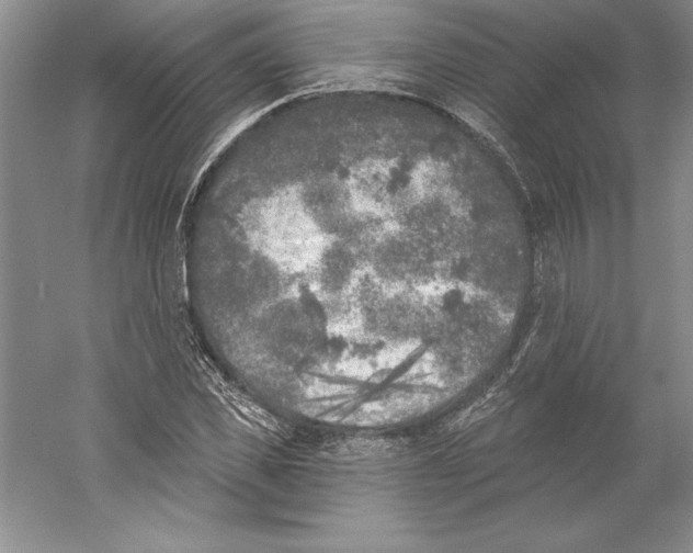 X0000059220925200511111518