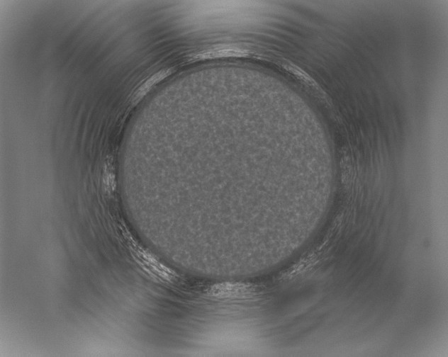 X0000059220929200511111518