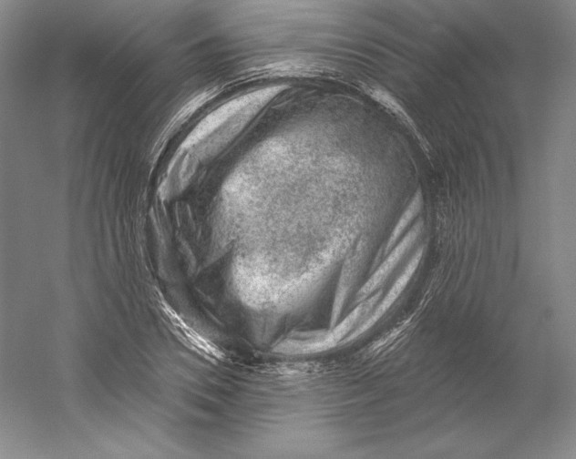 X0000059220930200511111518
