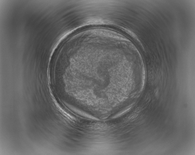 X0000059220935200511111518