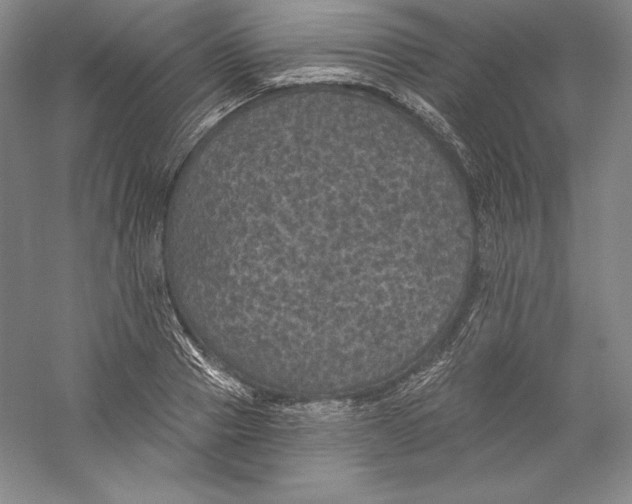 X0000059220937200511111518