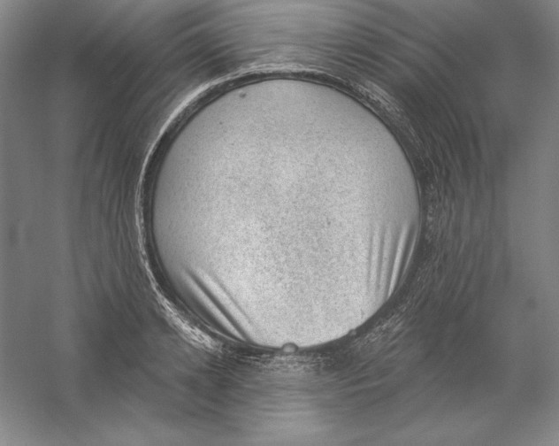 X0000059220942200511111518