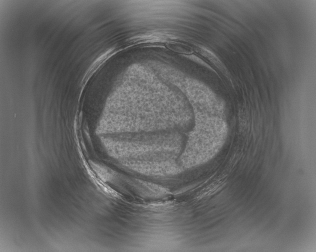 X0000059220946200511111518