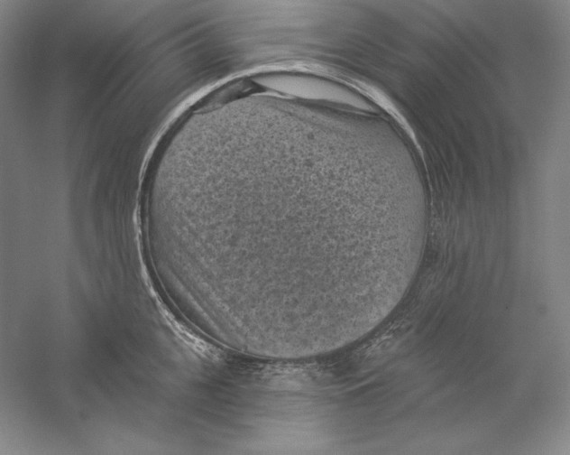 X0000059220951200511111518