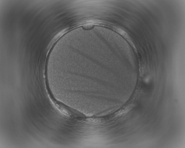 X0000059220954200511111518