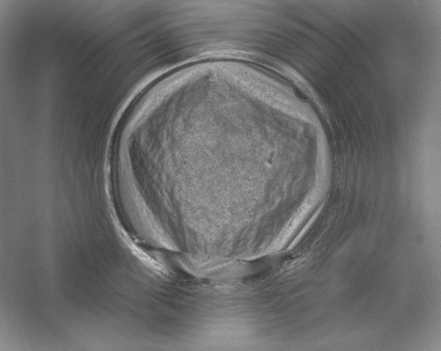 X0000059220955200511111518