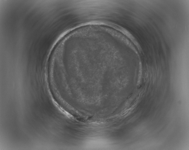 X0000059220958200511111518