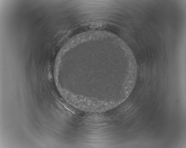 X0000059220962200511111517