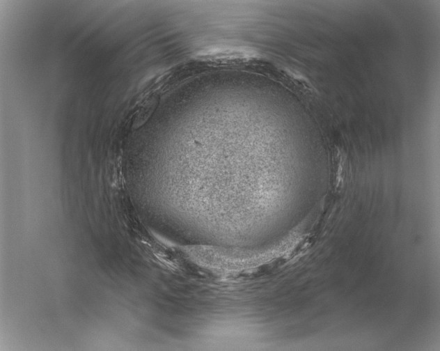 X0000059220965200511111517