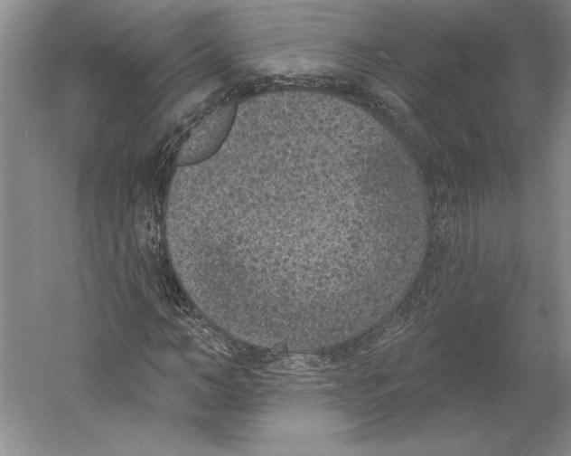 X0000059220966200511111517