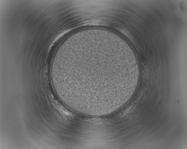 X0000059220971200511111517