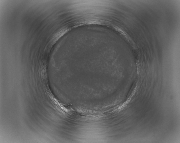 X0000059220977200511111517
