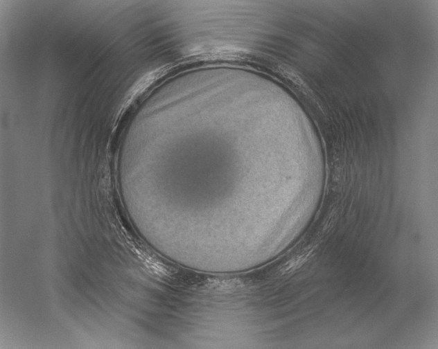X0000059220978200511111517