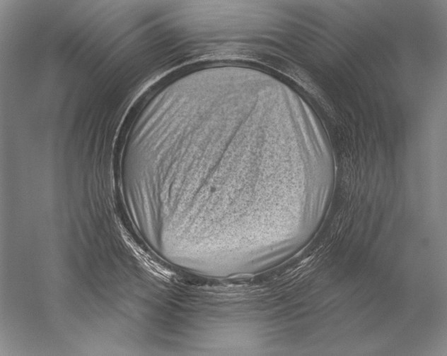 X0000059220980200511111517