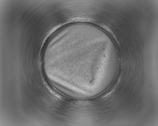 X0000059220981200511111517