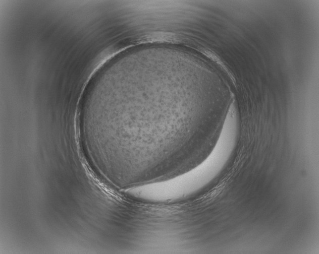 X0000059220983200511111517