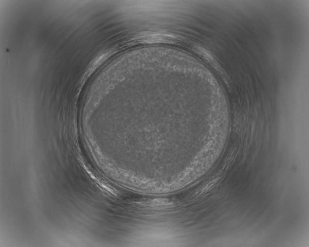 X0000059220986200511111517