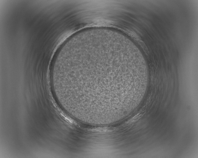 X0000059220990200511111517