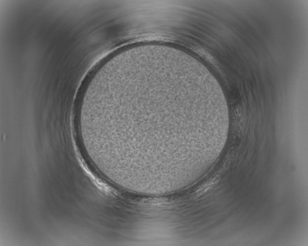 X0000059220991200511111517