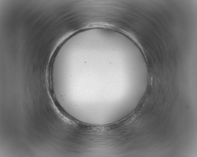 X0000059221003200511111517