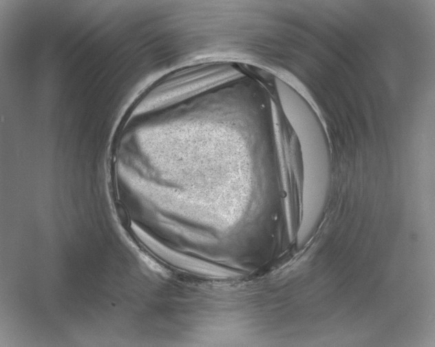 X0000059221005200511111517