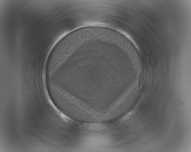 X0000059221007200511111517