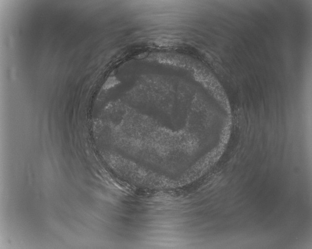X0000059221009200511111516