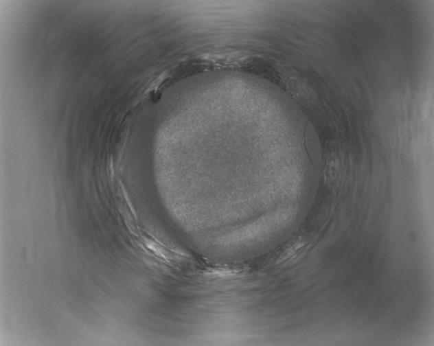 X0000059221010200511111516