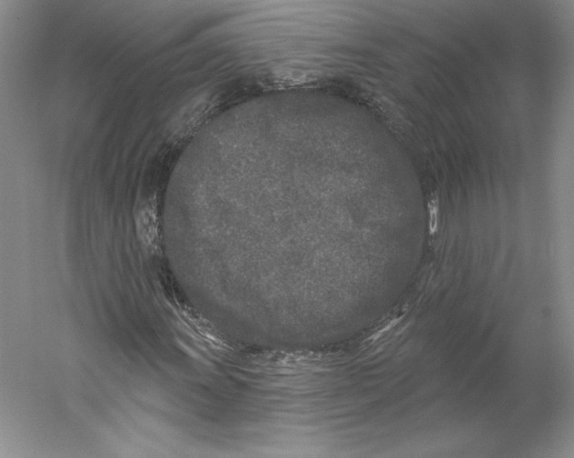 X0000059221011200511111516