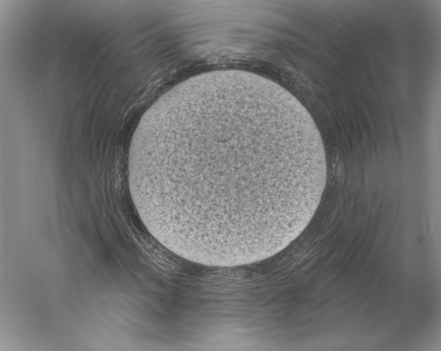 X0000059221012200511111516