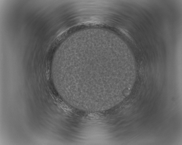 X0000059221015200511111516