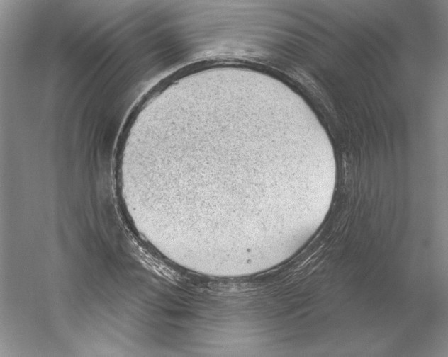 X0000059221020200511111516